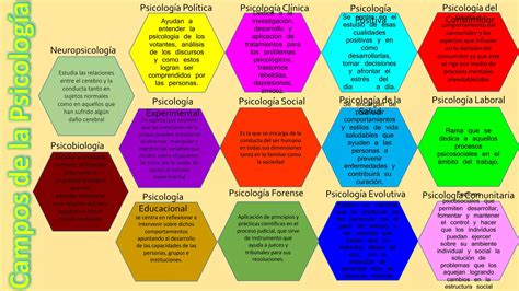 Mapa Conceptual Campos De La Psicologia Ppt