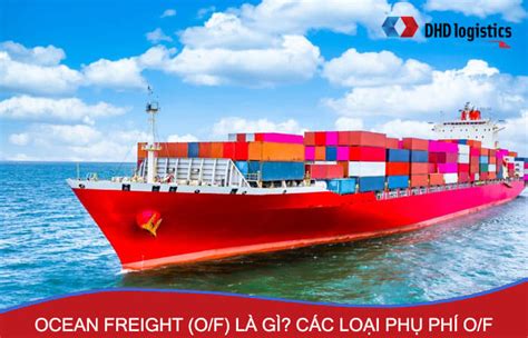 Ocean Freight là gì Những điều cần biết về phí Ocean Freight