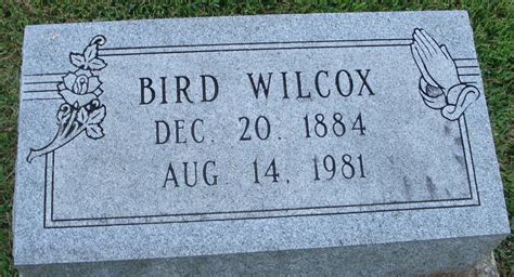 Bird Wilcox Memorial Find A Grave