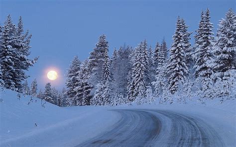 Bulan Purnama Malam Langit Jalan Mengangkat Salju Kayu Pohon