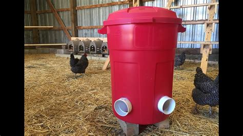 DIY Bulk Chicken Feeder Easy To Build No Waste YouTube