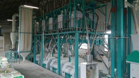 HDFM100 MAIZE MILL LINE - Maize milling machine - Shijiazhuang Hongdefa ...