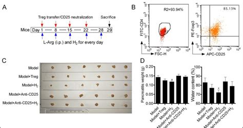 Adoptive Transfer Of Treg Cells Ameliorated Edema Of Chronic