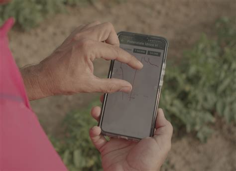 Italy Every Drop Counts Water Consumption In The Processing Tomato