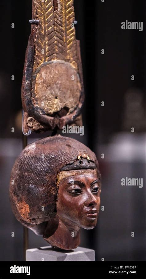 A Close Up Of Queen Tiyes Sculpted Head An Ancient Egyptian Artifact