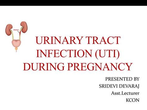 Urinary Tract Infection During Pregnancy Ppt