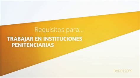 Todo Lo Que Necesitas Saber Sobre El Estudio Para Ser Funcionario De