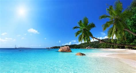 malindi kenya facts activities   history