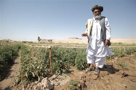 afghanistan www