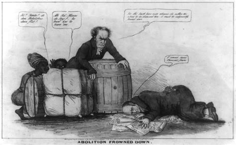 Slavery Political Cartoons: 1789 - 1880