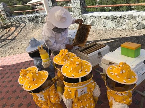 Hatta Honey Bee Garden Lo Que Se Debe Saber Antes De Viajar Tripadvisor