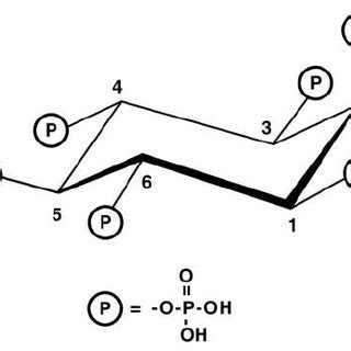 Effect Of Phytic Acid Pa And Caco Addition On The Concentration Of