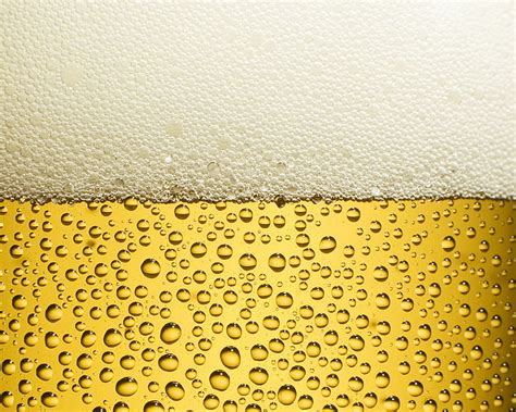 Beer Alcohol Beers Glass Hd Wallpaper Peakpx