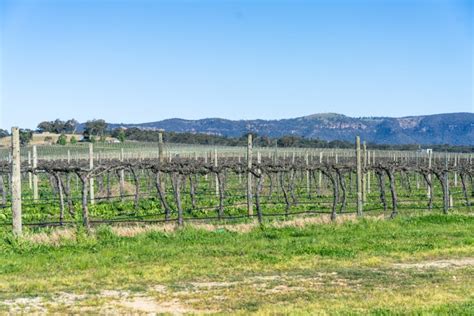 The 10 Best Wineries in Mudgee, Australia