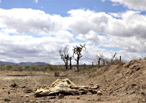 Nordeste A Pior Seca Em 30 Anos