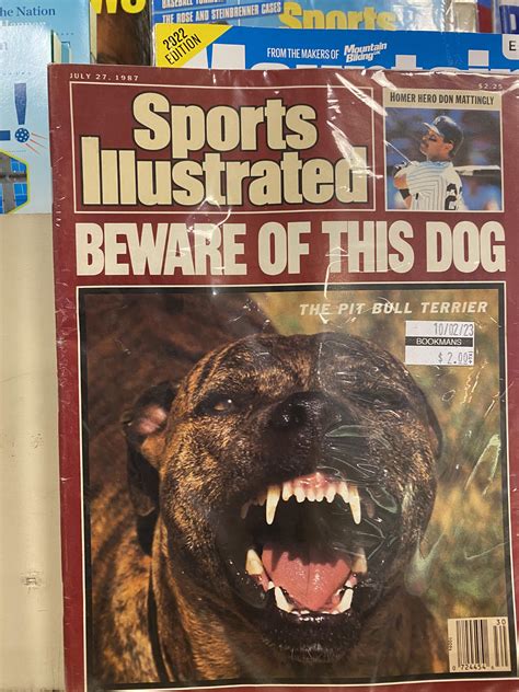 Can pit bulls jump fences? : r/BanPitBulls