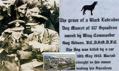 Plans to remove grave of Dambusters dog at historic RAF base are thrown ...