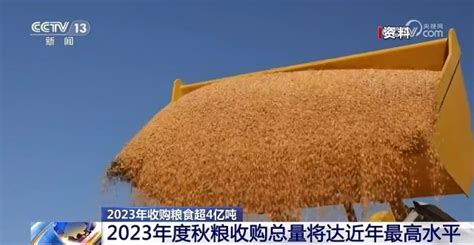 2023年收购粮食超4亿吨 秋粮收购平稳新闻频道中国青年网