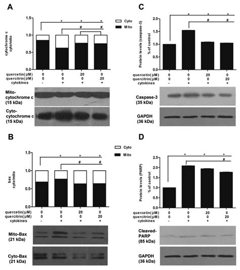 Quercetin And Quercitrin Protect Against Cytokine‑induced Injuries In