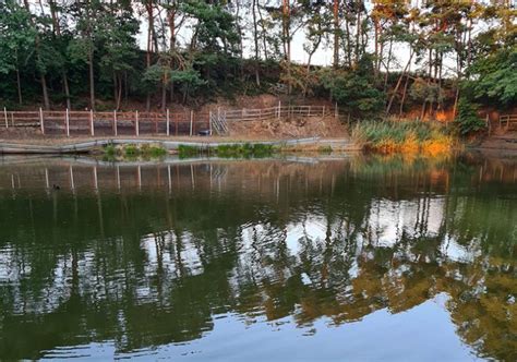 Nordrhein Westfalen Forellenseen Trout Master