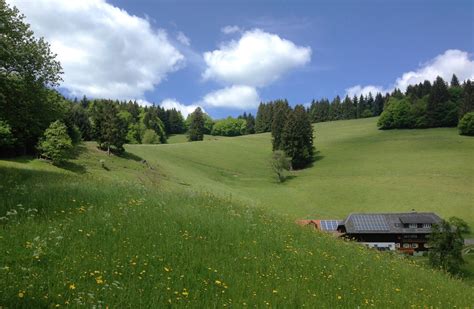 图片素材 景观 树 性质 荒野 结构体 领域 草坪 草地 草原 爬坡道 山脉 棚屋 绿色 牧场 平原 高尔夫