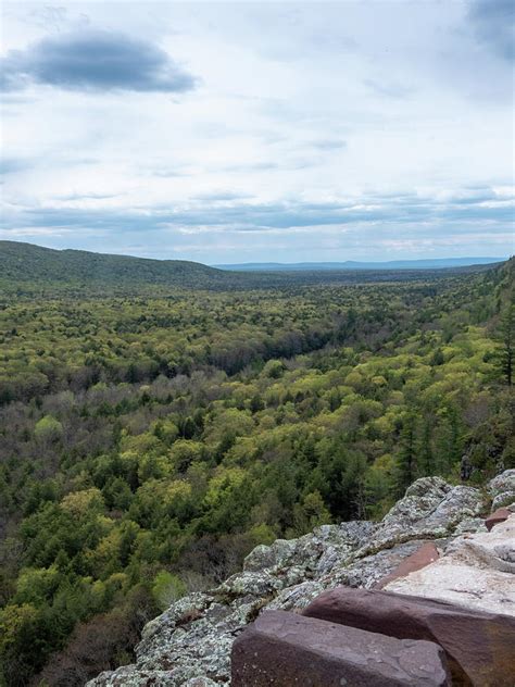 michigan forest photograph  linda kerkau fine art america