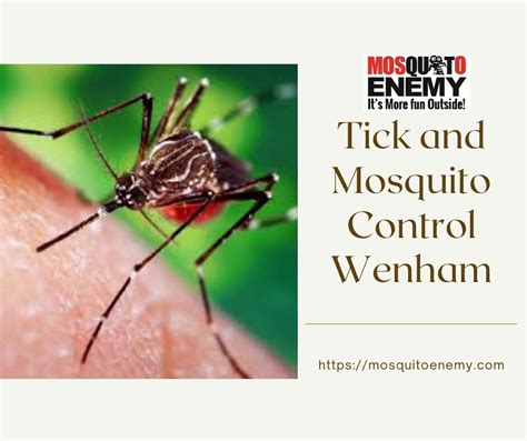 Tick And Mosquito Control Wenham In Wenham The Tick And M Flickr