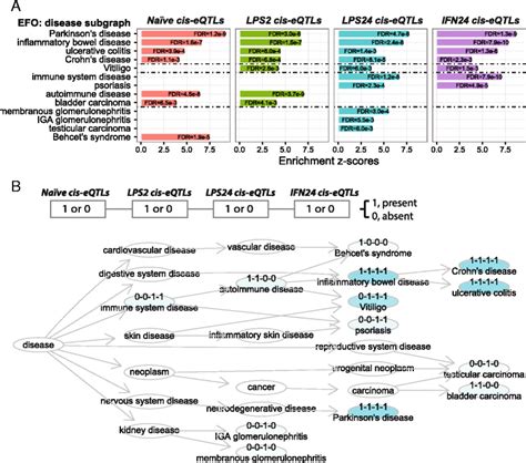 Comparative Enrichment Analysis For Cis Eqtl Snps Under Four Download Scientific Diagram