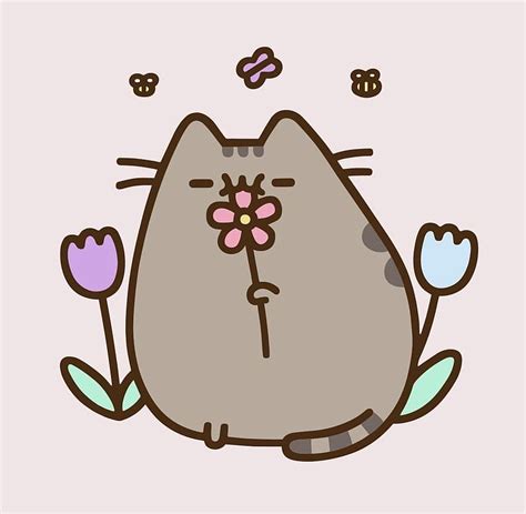 Spring Pusheen Cat Hd Wallpaper Pxfuel