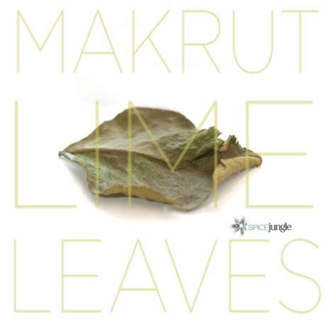 Makrut Lime Leaves (Dried) – The Jazz Chef