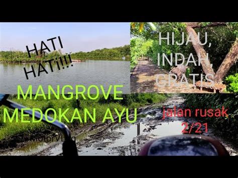 Wisata Mangrove Gunung Anyar Surabaya Wisata Mangrove Wonorejo