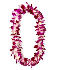 Bulk Leis - Fresh Hawaiian Leis in Bulk | Free Shipping | Wholesale Prices