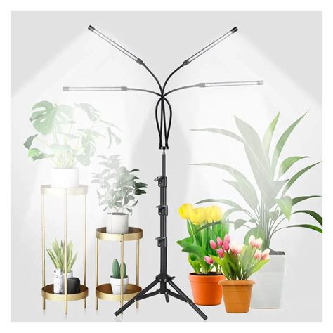 The 5 Best Grow Lights 2022 Review This Old House