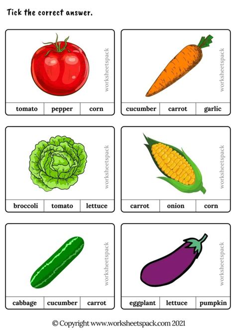 Vegetable Activity Sheets Worksheetspack