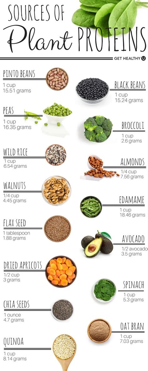 20 Ideas for Vegetarian Protein Rich Foods – Best Diet and Healthy ...