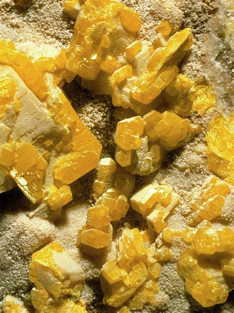 Yellow Crystals Of Sulphur Photograph By Alfred Pasiekascience Photo