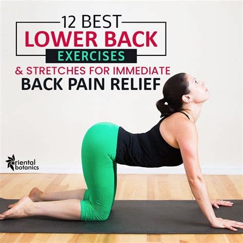 Pin On Best Lower Back Exercise