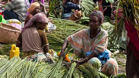 Millones De Mujeres En El Mundo No Usan Anticonceptivos