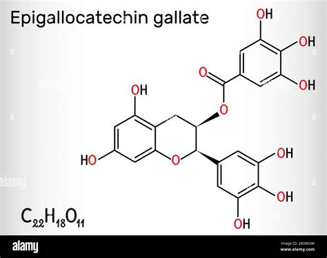 Epigallocatechin Gallate Egcg Is The Most Abundant Catechin In Tea