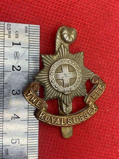 Original British Army The Royal Sussex Regiment Cap Badge For Sale The Militaria Shop