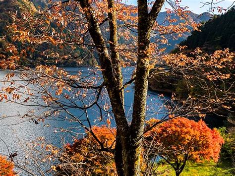 奥多摩湖の紅葉 Photo散歩