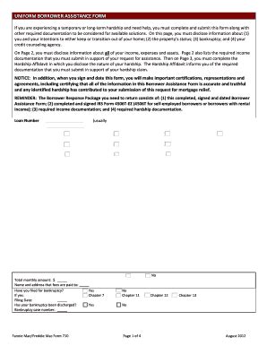 Uniform Borrower Assitance Form Form Pdf Fill And Sign