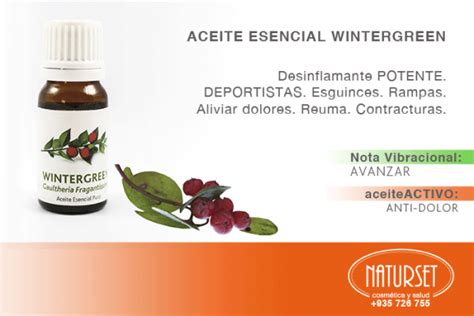 Aceite Esencial Wintergreen Blog NATURSET