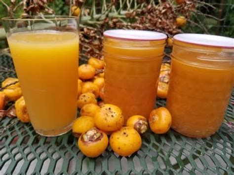 Jelly Palmpindo Palm Jelly Without Pectin Does The Jelly Palm Deserve