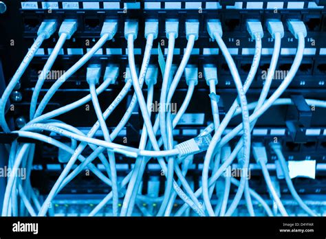 Network Switch And Ethernet Cables Stock Photo Alamy