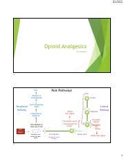 Understanding Opioid Analgesics Types Uses And Considerations