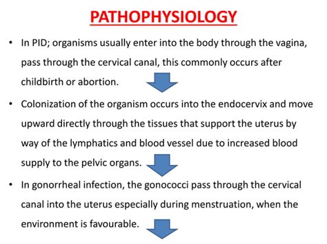 Pelvic Inflammatory Disease PID PPT