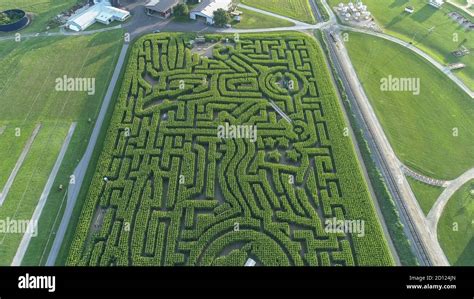 Downward view from a drone of a large corn maze in Pennsylvania Stock ...