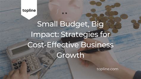 7 Strategies For Cost Effective Business Growth Topline