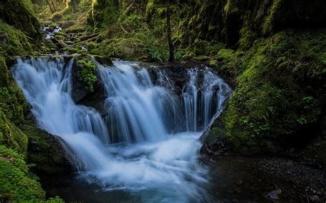 Waterfalls Stream From Green Plants Algae Covered Rocks Pouring On River Hd Nature Wallpapers